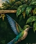 Colibrí